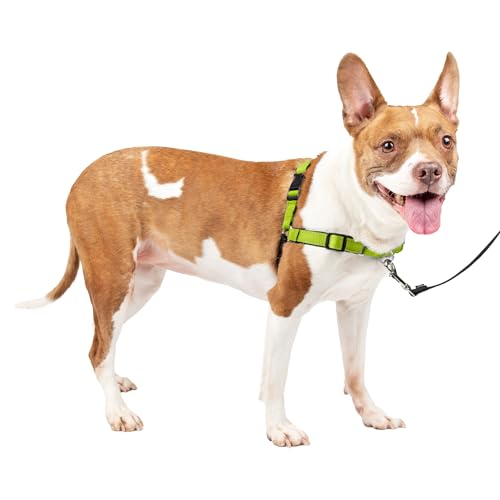 PetSafe Easy Walk Deluxe Dog Harness, No Pull Dog Harness – Perfect for Leash & Harness Training – Stops Pets from Pulling and Choking on Walks – Medium, Apple