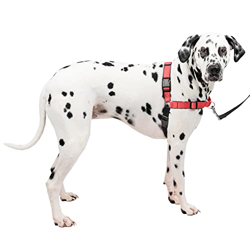 PetSafe Easy Walk Deluxe Dog Harness, No Pull Dog Harness – Perfect for Leash & Harness Training – Stops Pets from Pulling and Choking on Walks – Large, Rose