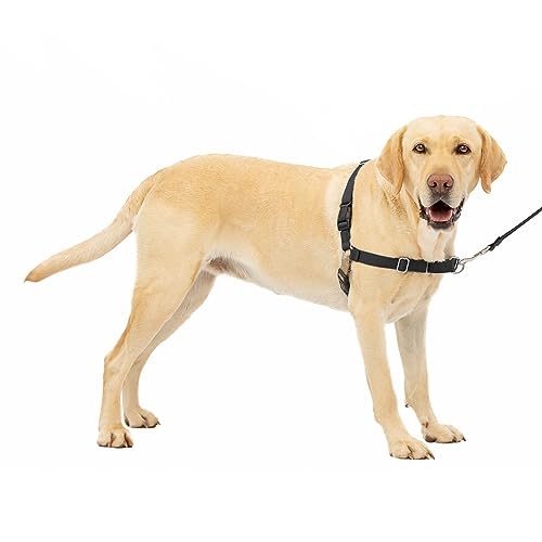 PetSafe Easy Walk No-Pull Dog Harness - The Ultimate Harness to Help Stop Pulling - Take Control & Teach Better Leash Manners - Helps Prevent Pets Pulling on Walks - Large, Black/Silver