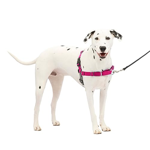 PetSafe Easy Walk No-Pull Dog Harness - The Ultimate Harness to Help Stop Pulling - Take Control & Teach Better Leash Manners - Helps Prevent Pets Pulling on Walks - Medium/Large, Raspberry/Gray