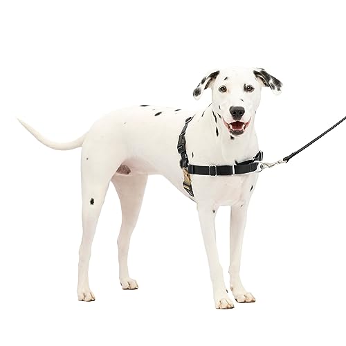 PetSafe Easy Walk No-Pull Dog Harness - The Ultimate Harness to Help Stop Pulling - Take Control & Teach Better Leash Manners - Helps Prevent Pets Pulling on Walks - Medium/Large, Black/Silver