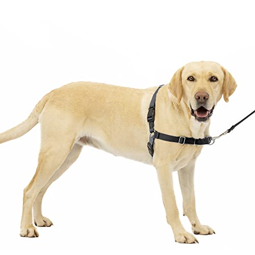 PetSafe Easy Walk No-Pull Dog Harness - The Ultimate Harness to Help Stop Pulling - Take Control & Teach Better Leash Manners - Helps Prevent Pets Pulling on Walks - Large, Charcoal/Black