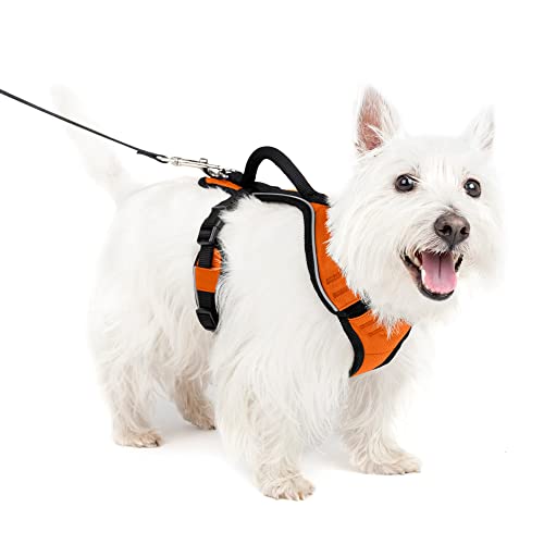 PetSafe EasySport Harness, Adjustable Padded Dog Harness with Control Handle and Reflective Piping, from The Makers of The Easy Walk Harness Orange Small