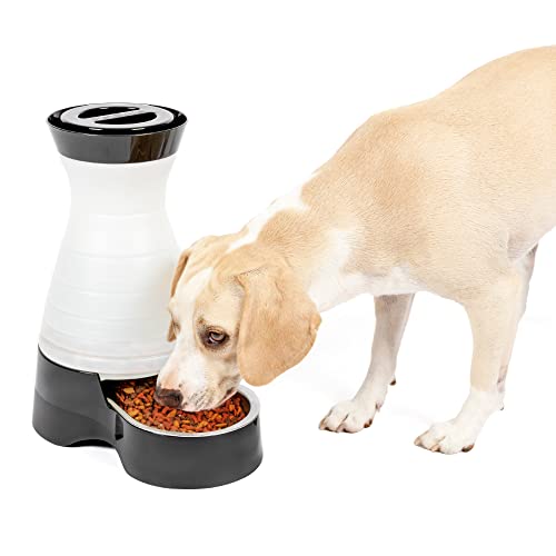 PetSafe Healthy Pet Food Station - Medium, 4 lb Kibble Capacity - Automatic Cat & Dog Feeder - Removable Stainless Steel Bowl Resists Corrosion & Stands Up to Frequent Use - Easy to Fill & Clean