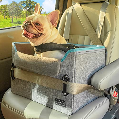 PETSFIT Small Dog Car Seat, Puppy Portable Dog Booster seat for Car with Clip-On Leash, Adjustable Straps Perfect for Small Pets Up to 25lbs (Grey and Green)