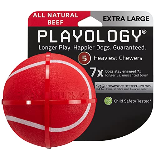 Playology Squeaky Chew Ball Dog Toy, for Extra Large Dogs (50lbs and Up) - for Heaviest Chewers - Engaging All-Natural Beef Scented Toy - Non-Toxic Materials