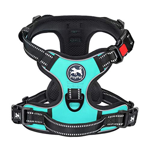 PoyPet No Pull Dog Harness, No Choke Front Clip Dog Reflective Harness, Adjustable Soft Padded Pet Vest with Easy Control Handle for Small to Large Dogs(Mint Blue,M)