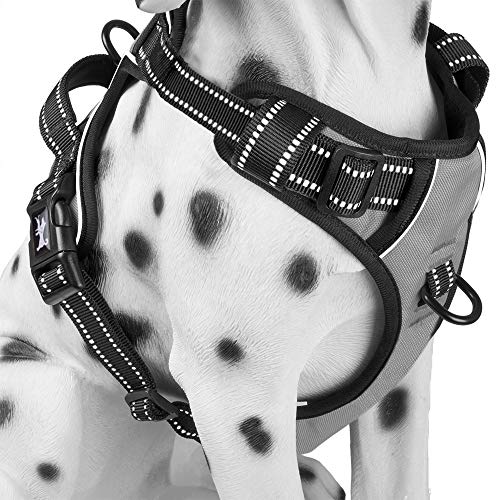 PoyPet No Pull Dog Harness, Reflective Comfortable Vest Harness with Front & Back 2 Leash Attachments and Easy Control Handle Adjustable Soft Padded Pet Vest for Small to Large Dogs (Gray,L)