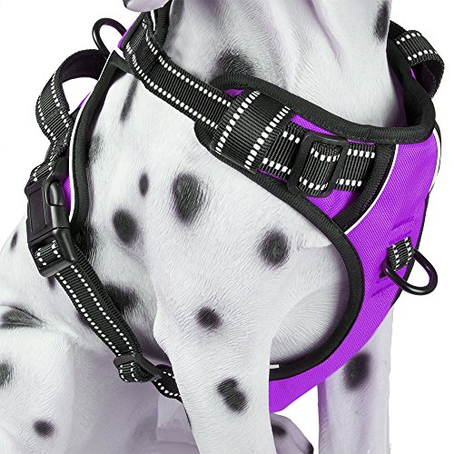 PoyPet No Pull Dog Harness, Reflective Comfortable Vest Harness with Front & Back 2 Leash Attachments and Easy Control Handle Adjustable Soft Padded Pet Vest for Small to Large Dogs (Purple,L)