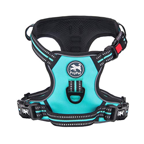 PoyPet No Pull Dog Harness, [Release on Neck] Reflective Adjustable No Choke Pet Vest with Front & Back 2 Leash Attachments(Mint Blue,XS)