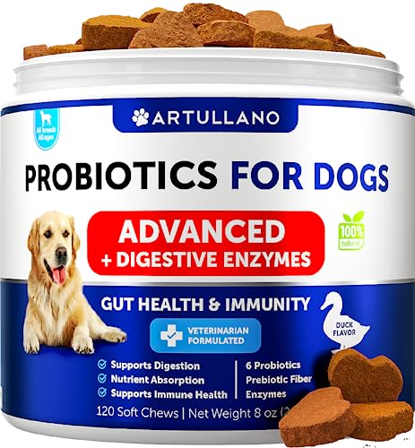 Probiotics for Dogs - Support Gut Health, Itchy Skin, Allergies, Immunity, Yeast Balance - Dog Probiotics and Digestive Enzymes with Prebiotics - Reduce Diarrhea, Gas - 120 Probiotic Chews for Dogs
