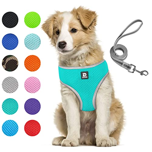 Puppy Harness and Leash Set - Dog Vest Harness for Small Dogs Medium Dogs- Adjustable Reflective Step in Harness for Dogs - Soft Mesh Comfort Fit No Pull No Choke (L, Lake Blue)