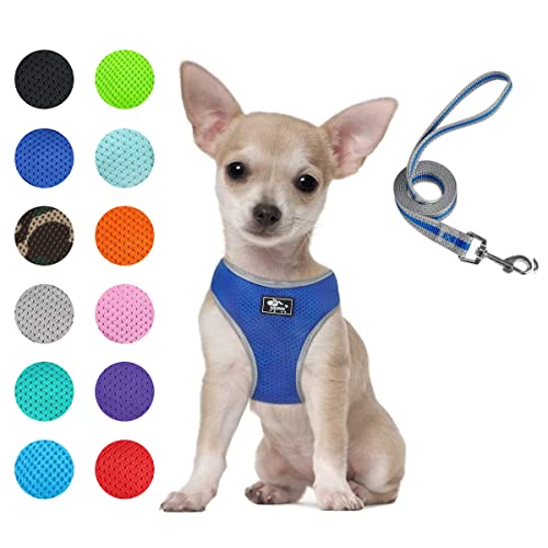 Puppy Harness and Leash Set - Dog Vest Harness for Small Dogs Medium Dogs- Adjustable Reflective Step in Harness for Dogs - Soft Mesh Comfort Fit No Pull No Choke (XS, Blue)
