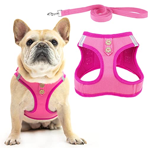 PUPTECK Dog Harness and Leash Set for Small Medium Dogs No Pull Step-in Soft Mesh Puppy Cat Vest Harnesses Reflective at Night, Denim Pink S