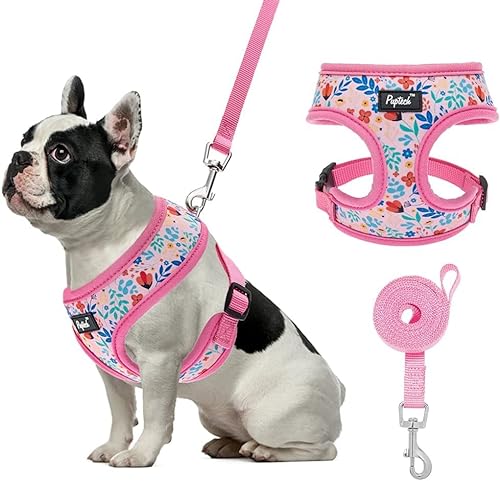 PUPTECK Soft Mesh Dog Harness and Leash Set Pet Puppy Cat Comfort Padded Vest No Pull Harnesses, Pink Floral, S