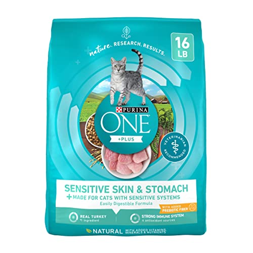 Purina ONE Sensitive Stomach, Sensitive Skin, Natural Dry Cat Food, +Plus Sensitive Skin and Stomach Formula - 16 lb. Bag