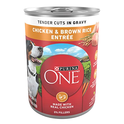 Purina ONE Tender Cuts in Wet Dog Food Gravy Chicken and Brown Rice Entree - (12) 13 Oz. Cans