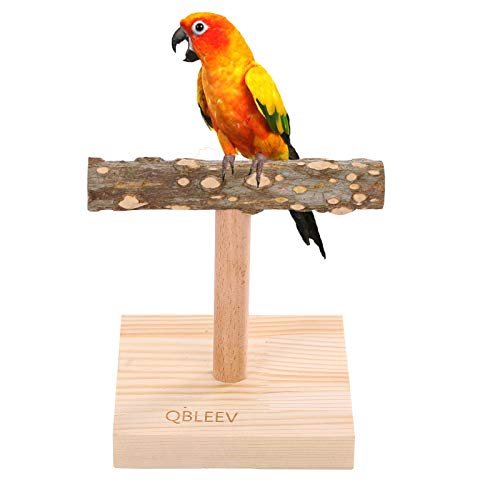 QBLEEV Bird Tabletop Training Stand Perch，Portable Parrot Tee Play Stands, Natural Wood Bird Cage Toys Gym Playground for Small Medium Parakeets Cocktails Conures Lovebirds Finch (Small)