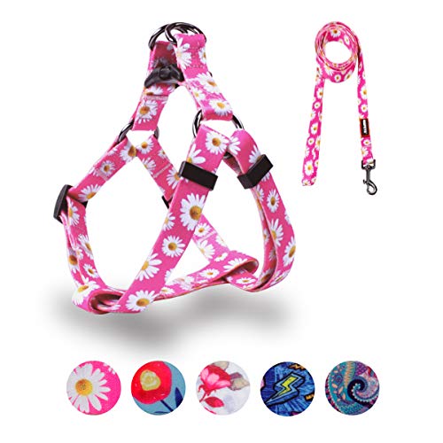 QQPETS Dog Harness Leash Set Adjustable Heavy Duty No Pull Halter Harnesses for Small Medium Large Breed Dogs Back Clip Anti-Twist Perfect for Walking (XS(12"-18" Chest Girth), Daisy)