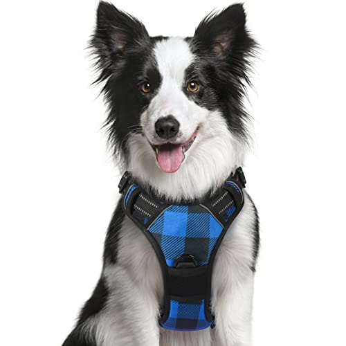 rabbitgoo Dog Harness for Large Dogs No Pull, Adjustable Dog Walking Vest Harness with 2 Leash Clips, Comfort Padded Pet Harness with Handle, Reflective Front Body Harness, Blue Plaid, Large