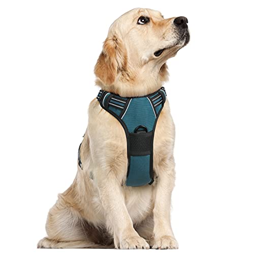 rabbitgoo Dog Harness, No-Pull Pet Harness with 2 Leash Clips, Adjustable Soft Padded Dog Vest, Reflective No-Choke Pet Oxford Vest with Easy Control Handle for Large Dogs, Blue Coral, L