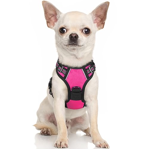 rabbitgoo Dog Harness, No-Pull Pet Harness with 2 Leash Clips, Adjustable Soft Padded Dog Vest, Reflective No-Choke Pet Oxford Vest with Easy Control Handle for Small Dogs, Hot Pink, XS