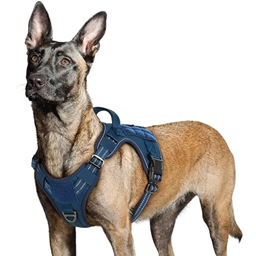 rabbitgoo Tactical Dog Harness No Pull, Military Dog Vest Harness with Handle & Molle, Easy Control Service Dog Harness for Large Dogs Training Walking, Adjustable Reflective Pet Harness, Blue, L