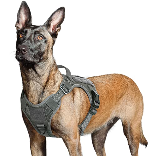 rabbitgoo Tactical Dog Harness No Pull, Military Dog Vest Harness with Handle & Molle, Easy Control Service Dog Harness for Large Dogs Training Walking, Adjustable Reflective Pet Harness, Dark Grey, L
