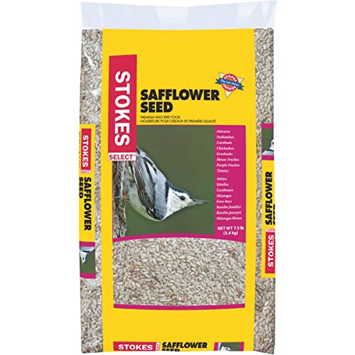 Red River Commodities Stokes Select Safflower Bird Seed