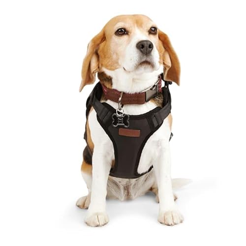 Reddy Crash Tested Dog Harness, Medium