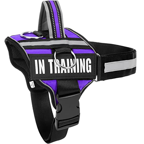 Reflective Dog Harness, Anti-Slip No Pull Dog Vest Harness with 8Pcs Dog Patches, Adjustable In Training Service Pet Harness for All Breeds, 3 Ring No-Choke Pet Oxford Vest for Small Medium Large Dogs