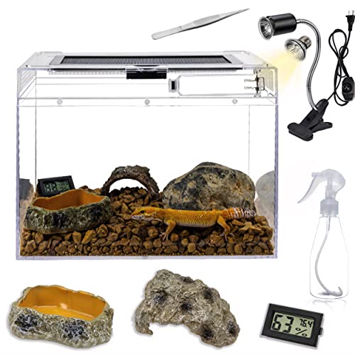 Reptile Terrarium Cage Tank 12x7x9 Inch,Feeding Box Lizard Tank Fishtank with Accessories Sprayer,Tweezer,Bowl,Hygrometer, Hide Cave,for Insect,Tortoise,Fish Tarantula Enclosure Cage