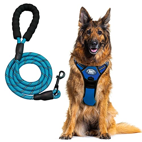 Rooscar No Pull Dog Harness and Leash Set Reflective Stitching - Dog Vest with Easy Control Handle Leash- No-Choke Pet Oxford Dog Stuff for Running, Walking, Jogging (Blue, Large Dog Harness)