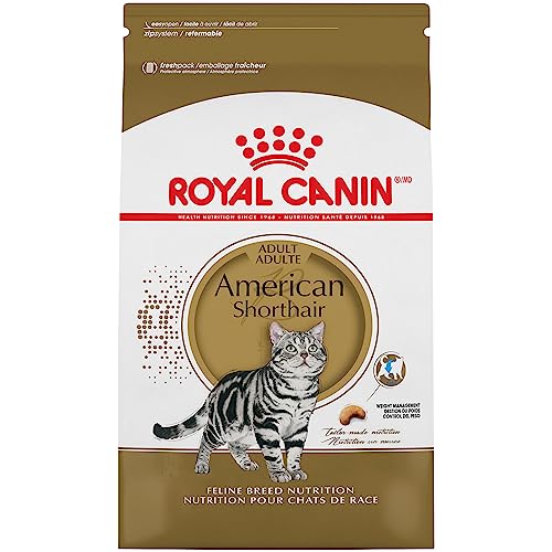 Royal Canin American Shorthair Breed Adult Dry Cat Food, 5.5 lb bag