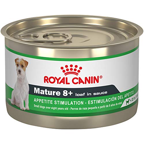 Royal Canin Canine Health Nutrition Mature 8+ Loaf in Sauce Canned Dog Food, 5.2 oz