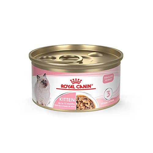 Royal Canin Feline Health Nutrition Kitten Thin Slices in Gravy Canned Cat Food, 3 oz can