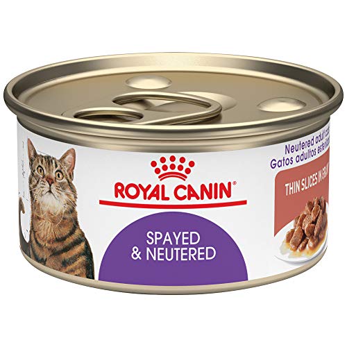 Royal Canin Feline Health Nutrition Spayed/Neutered Thin Slices In Gravy Canned Cat Food, 3 oz cans 24-count