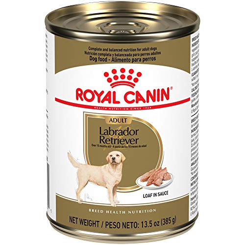 Royal Canin Labrador Retriever Loaf in Sauce Canned Dog Food, 13.5 oz can