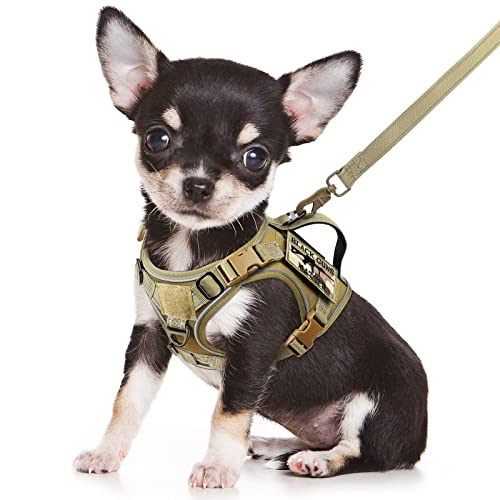 SALFSE Tactical Dog Harness Small, Military K9 Puppy Vest Harness and Leash, No Pull Outdoor Training XS Dog Harness with Handle (XSmall, Khaki+Leash)