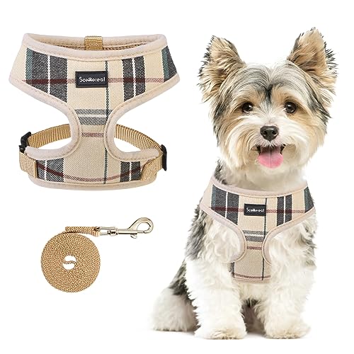 SCENEREAL Puppy Harness and Leash Set - Soft Mesh No Pull Vest Small Dog Padded Harness for Puppies & Cats