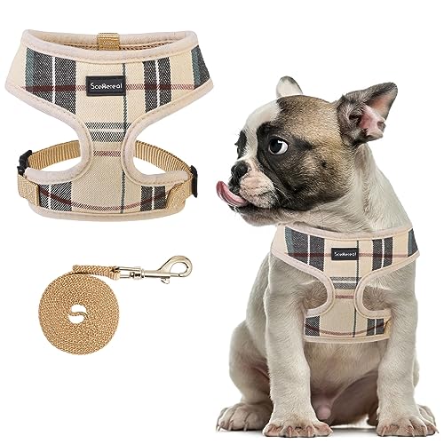 SCENEREAL Puppy Harness and Leash Set - Soft Mesh No Pull Vest Small Dog Padded Harness for Puppies & Cats