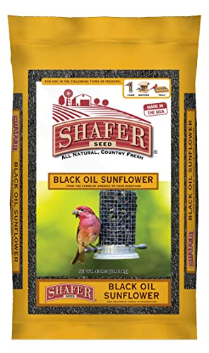 Shafer Seed 51041 40-Pound Bag, Black Oil Sunflower Wild Bird Food
