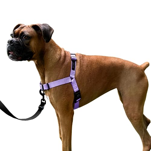 ShawnCo Dream Walk No-Pull Dog Harness- Adjustable, Comfortable, Easy to Use Pet Halter to Help Stop Pulling for Small, Medium and Large Dogs (ICY Lilac, L)