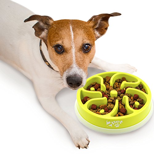 Slow Feed Dog Bowl Slowly Bowly by 2PET. Fun Interactive Dog Dish for Fast Eaters. Prevent Bloating. Fun to Use Dog Bowl. Cat Feeder Friendly. [Skid Protection Upgraded]