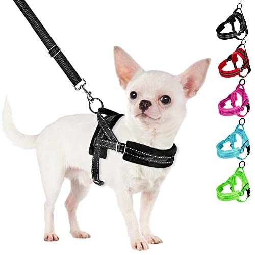 SlowTon No Pull Small Dog Harness and Leash Set, Puppy Soft Vest Harness Neck & Chest Adjustable, Reflective Lightweight Harness & Anti-Twist Pet Lead Combo for Small Medium Dogs (Black, XXS)