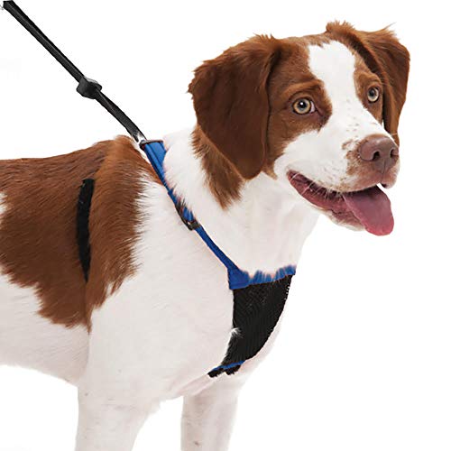 Sporn Mesh Non Pull Dog Harness Medium Blue, Perfect For Training-Stops Dogs from Pulling and Choking on Walks for Small, Medium and Large Dogs, Puppy Harness, No Pull Harness, No Choke Harness