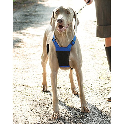 Sporn No-Pulling Mesh Control Harness, Large / XL - Blue