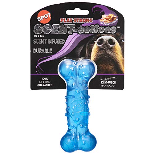 SPOT Play Strong Scent-sations Bacon Flavor Bone 6” | Dog Toys for Aggressive Chewers |Bone| Chew Toys for Aggressive Dogs | Interactive Dog Toy | Dog Chew Toys for Aggressive Chewers, Blue