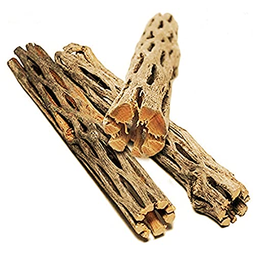SunGrow Leopard Gecko Cholla Wood, 5 Inches Long, Create Basking Spot, Artistic Home-Decor, Lizards and Bearded Dragons, 3-Pack