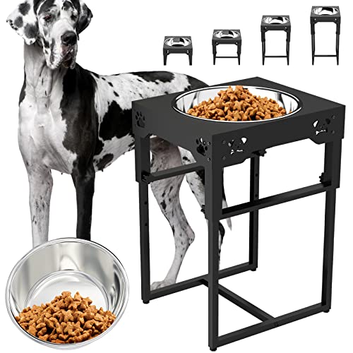 Best Dog Food Bowl For Fast Eaters